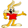 rabbit148