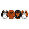Cavalier King Charles Quartet