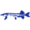 Hecht_blau.eps
