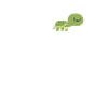 Turtles