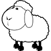 sheep130
