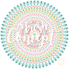 Fresh Concept Mandala