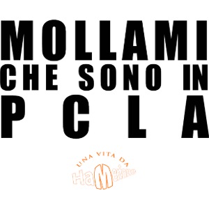 Mollami3