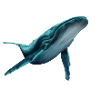 Whale