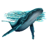Whale