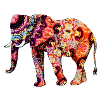Oriental Elephant