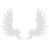 Wing