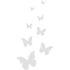 Flying Butterflies