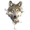 Painted Wolf