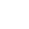 Der Ingenieur
