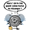 Pétanque !?!