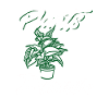 plants are friends