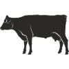 cow108