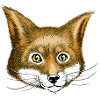 Fuchs the fox