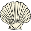 mussel64