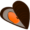 mussel56