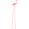 Flamingo with long legs