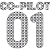 Co Pilot
