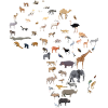 Map of African wildlife