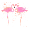 Flamingo Heart