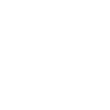 Monkey Circus