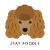 Poodle Brown