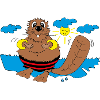 Castor flottaison