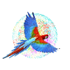 Parrot