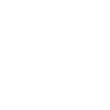 softball v2