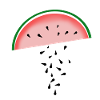 Cantaloupe