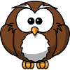 penguin113
