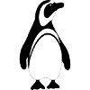 penguin326