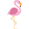 flamingo