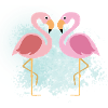 Flamingo's Splash