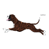 Boxer Diamonds 6
