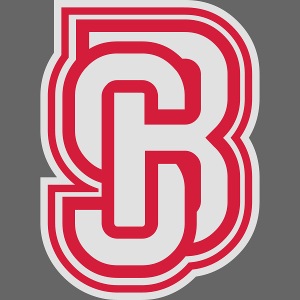 Sketch Books (Baseball)