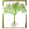 Mutter Natur - Rahmen 01