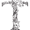 Letter T