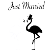 Flamingos - just married