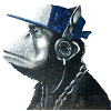 Monkey graffiti by CustomStyle