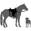 Chien et cheval - Westernreiter