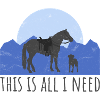 Chien et cheval - Westernreiter