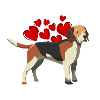 Lovely Dog!