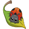 Ladybug - Marienkäfer