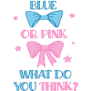 Baby Gender Reveal Party