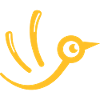 Little Bird