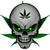 Hemp Skullhead 003 AllroundDesigns