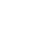 Viking Boat> Original Norwegian Cruise Line