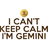 Signe astrologique Gémeaux / Zodiac Gémeaux