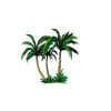palms